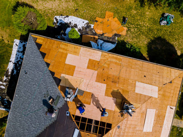 Best Roof Gutter Cleaning  in Inkerman, PA