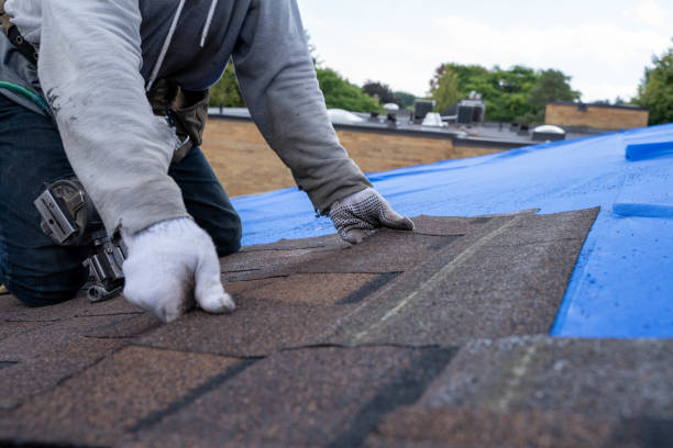 Best Roof Gutter Cleaning  in Inkerman, PA